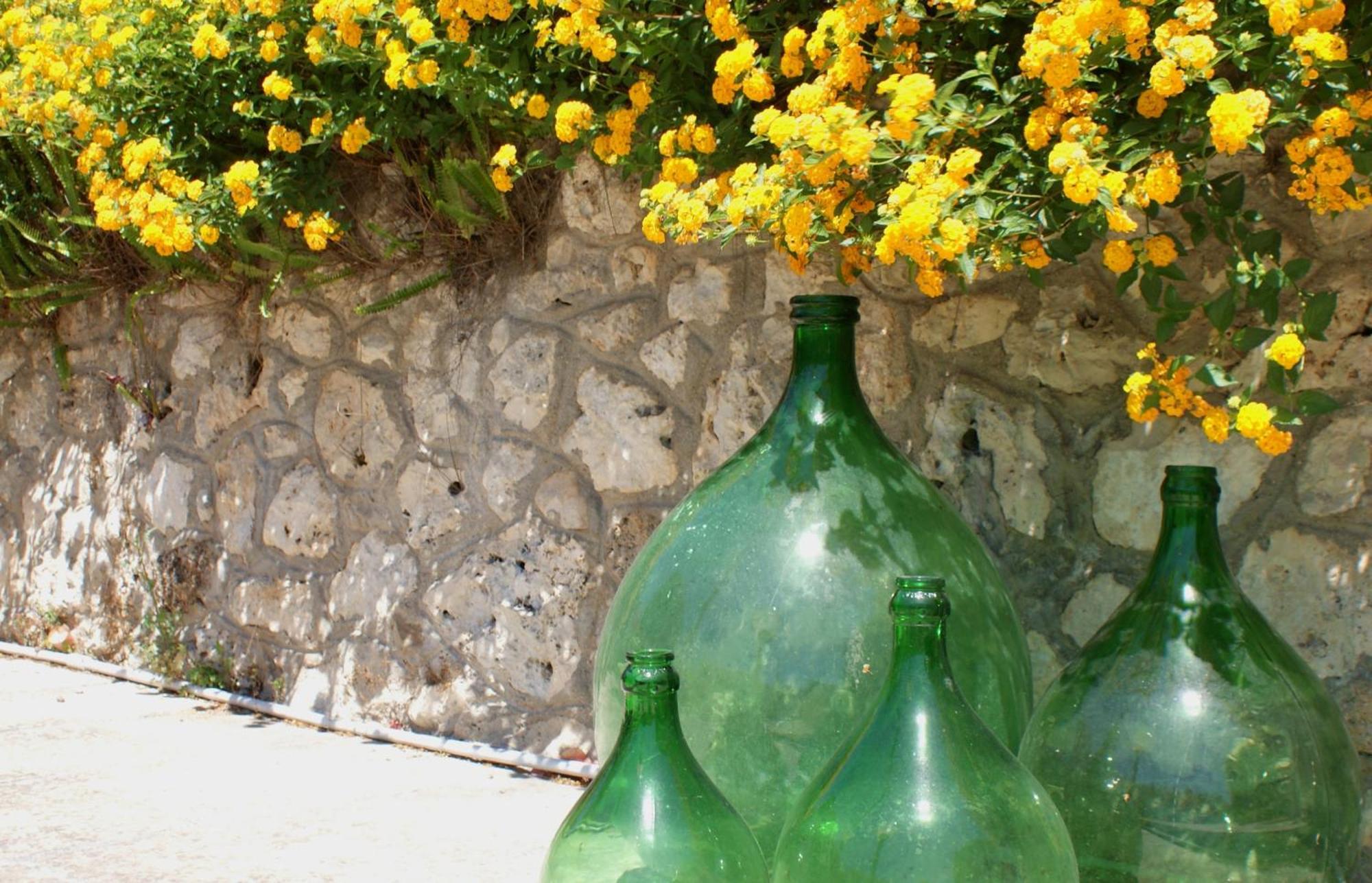 Residence Conchiglia San Giovanni Santa Cesarea Terme Εξωτερικό φωτογραφία