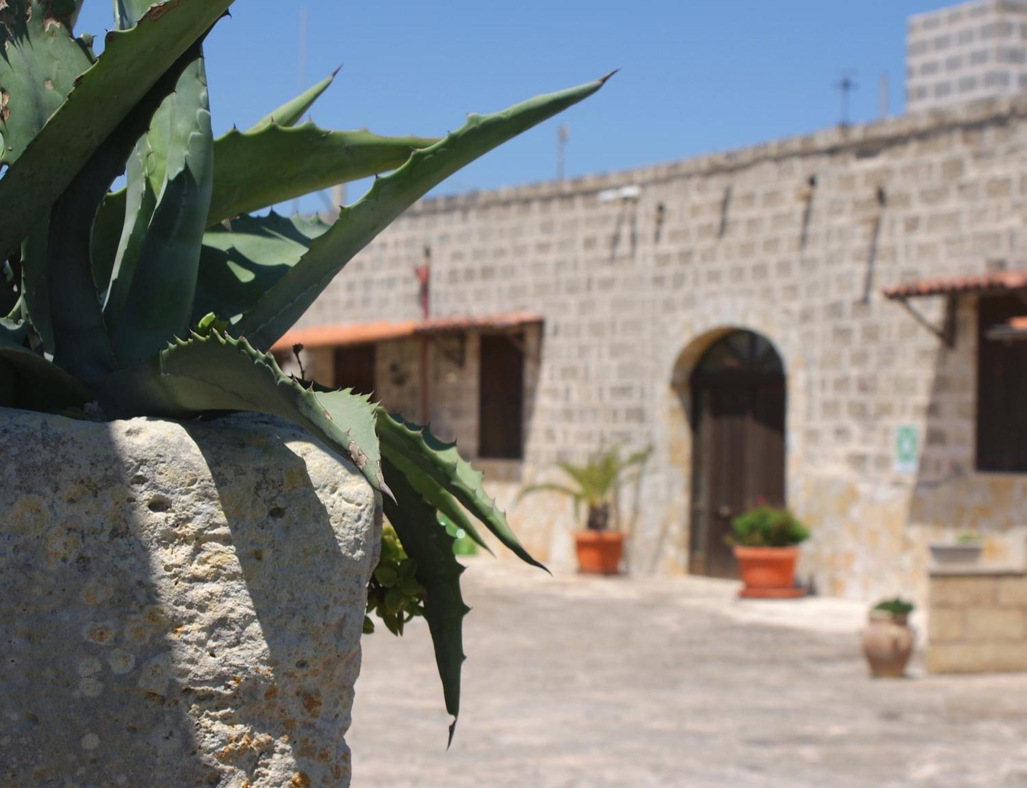 Residence Conchiglia San Giovanni Santa Cesarea Terme Εξωτερικό φωτογραφία
